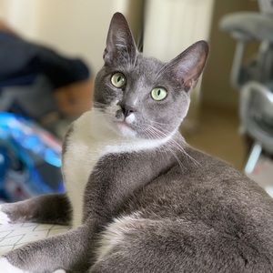 Meet your Posher, Michael